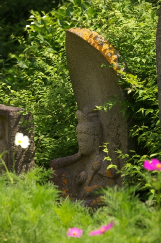 _V1Z0280.JPG