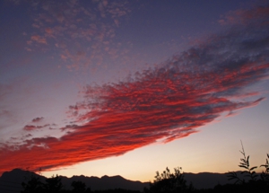 gkphoto0005.jpg