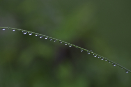 G朝83.JPG